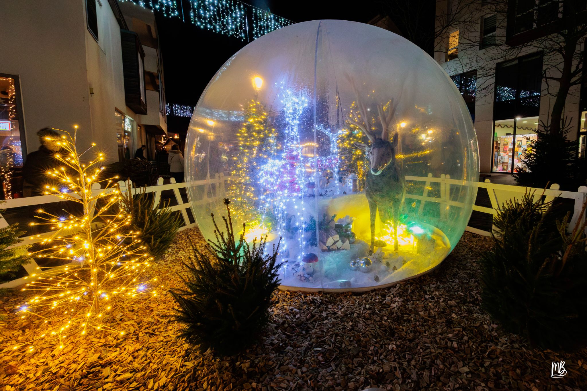 20241129 Noël à Haguenau MB (112 sur 114)